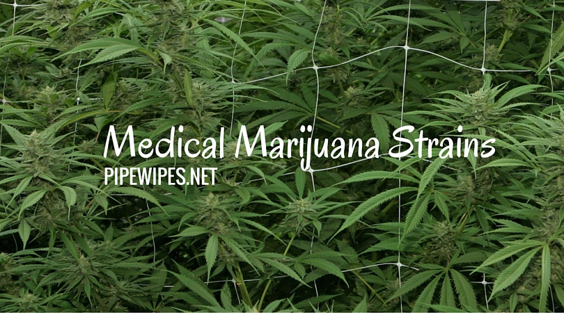 medical_marijuana_strains_pipe_wipes